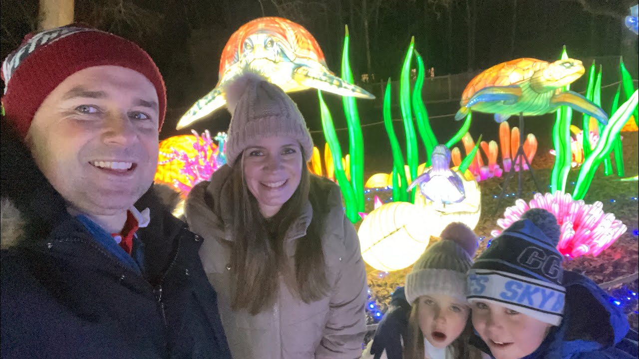 Lanterns of the Wild Twycross Zoo 2nd January 2026 