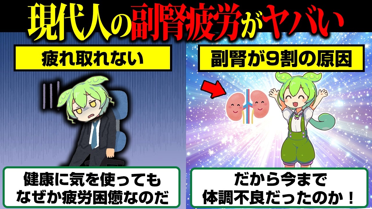 誰も教えてくれなかった疲れが取れない原因の副腎疲労【ずんだもん】