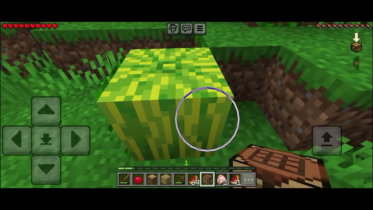 Minecraft 1.21.51