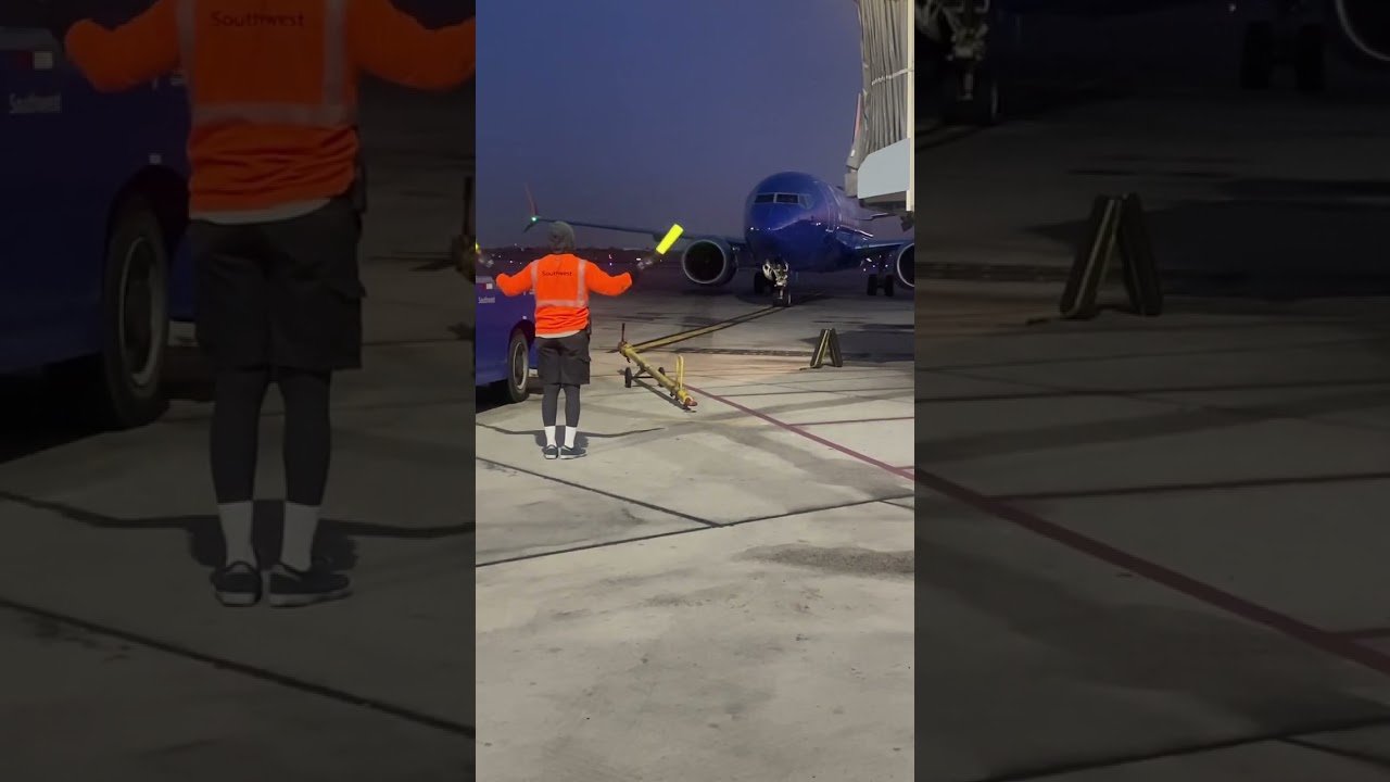 Ramp Agent Did Incredible Job ✈️ #aviation
