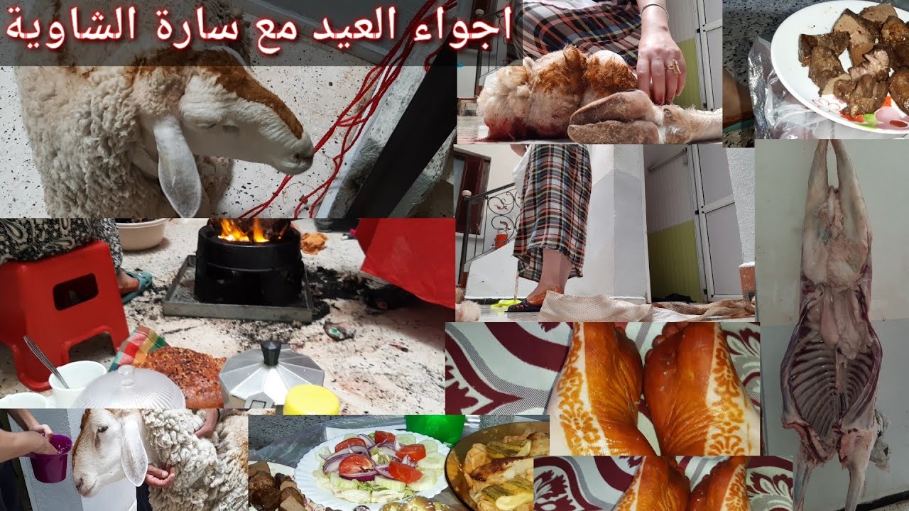 سارة الشاوية:اجواء العيد 🐏🐏فرحتي كبيرة بخويا 😍🥰 فات نهار باهي بالصحة والهناء ان شاء الله
