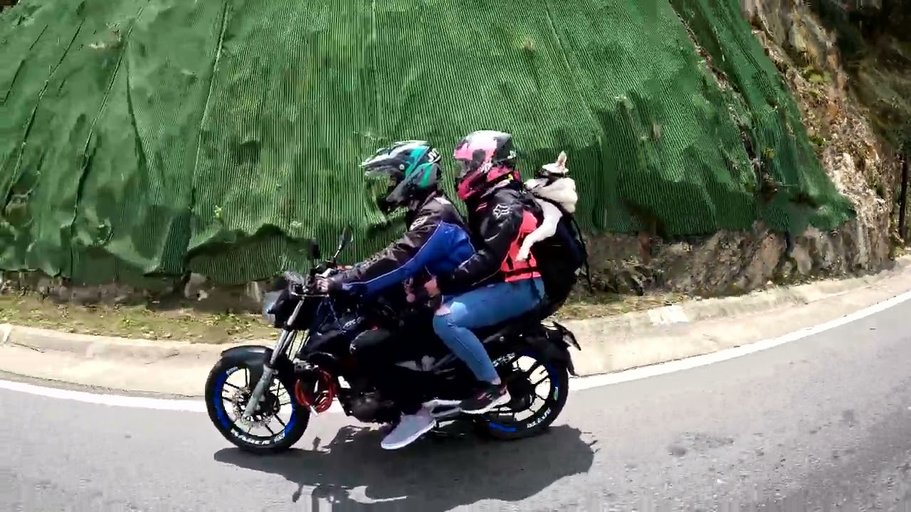 Perros moteros en Colombia