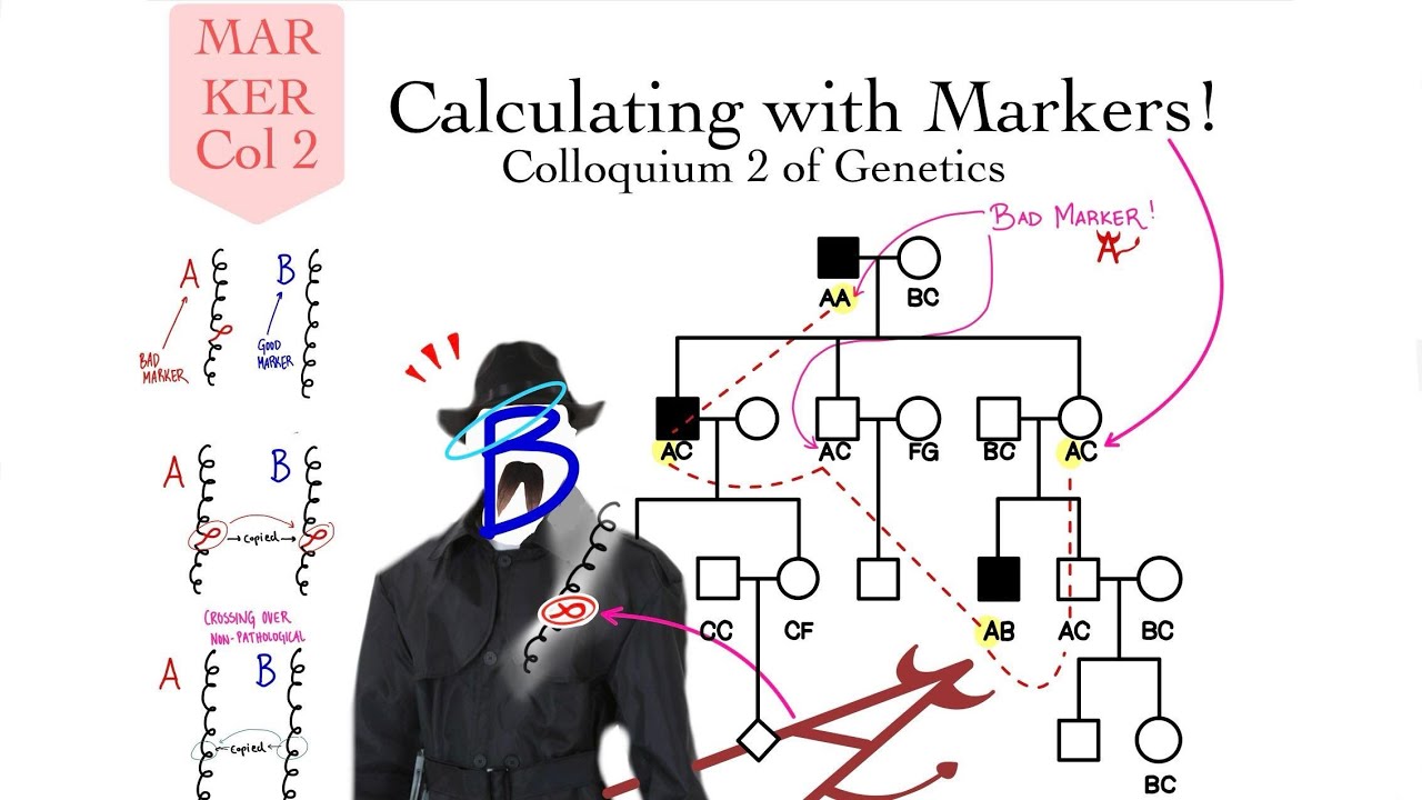 Calculating with Markers (Genetics Col 2) - Nadia Aldaher
