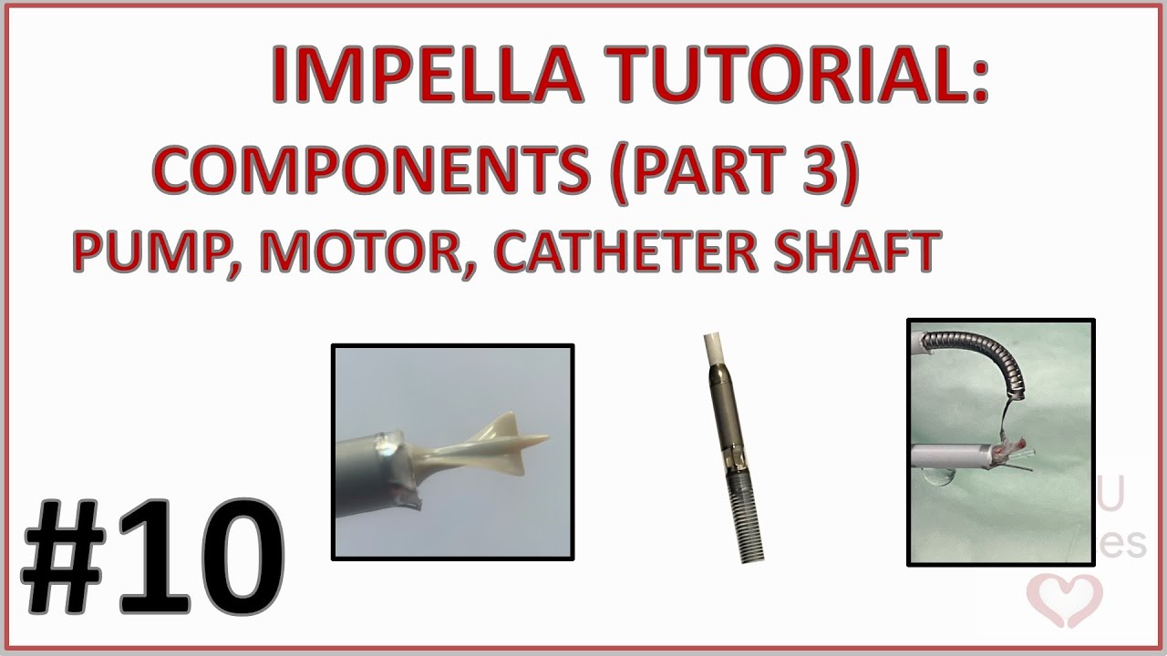 ⚙️ IMPELLA CP COMPONENTS PART 3 - PUMP, MOTOR & CATHETER SHAFT (IMPELLA GUIDE 010)