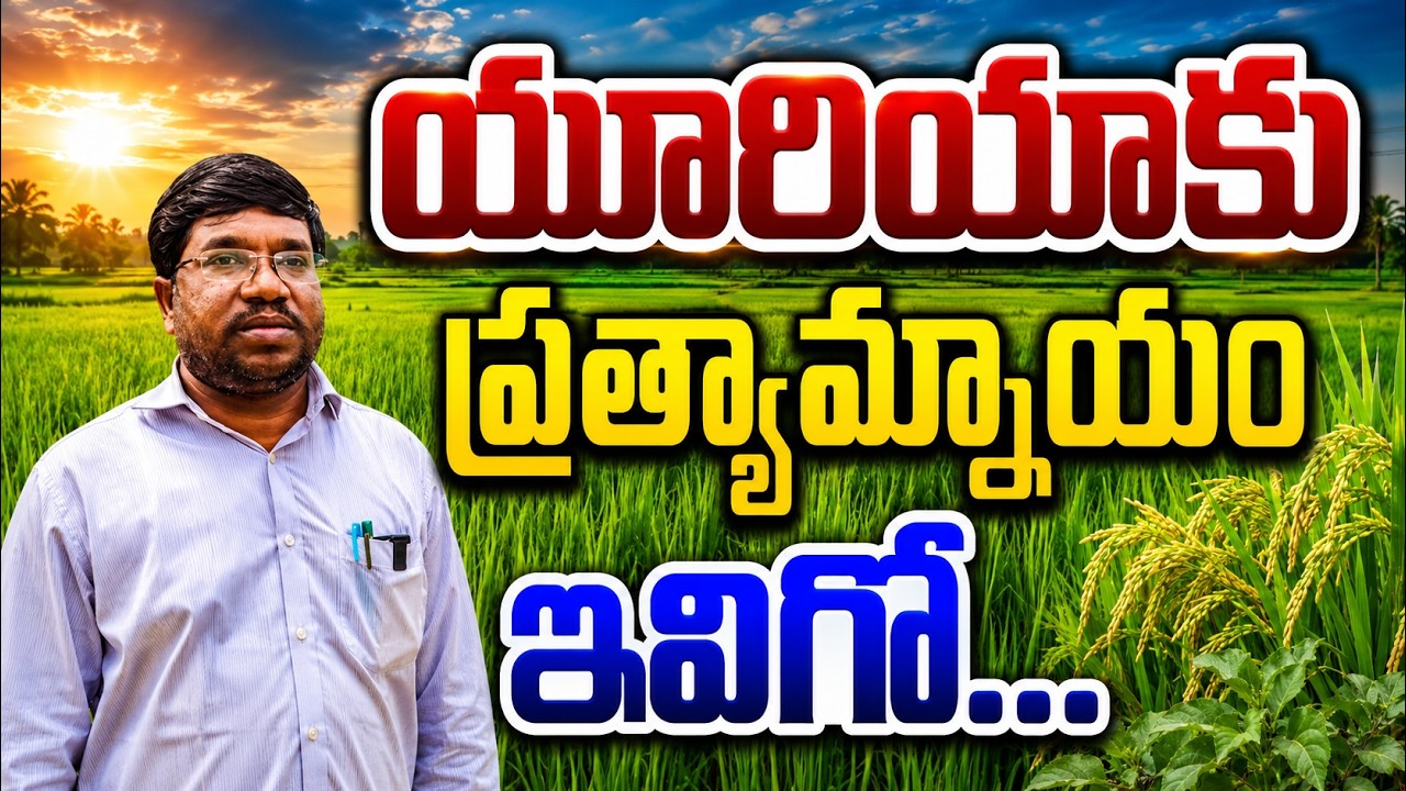 యూరియా ఎక్కువ వాడితే రైతుకే నష్టం | urea usage | bhumiputhra telugu