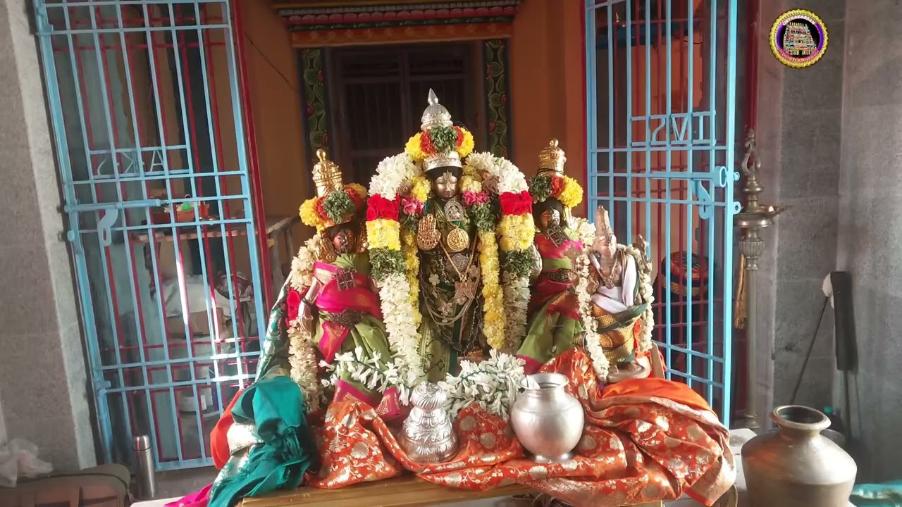 தில்லைதிருச்சித்திரகூடம்ஸ்ரீ கோவிந்தராஜ பெருமாள் கோவில் 03.3.2026 மாசி மகம் தீர்த்தவாரி  உற்சவம்