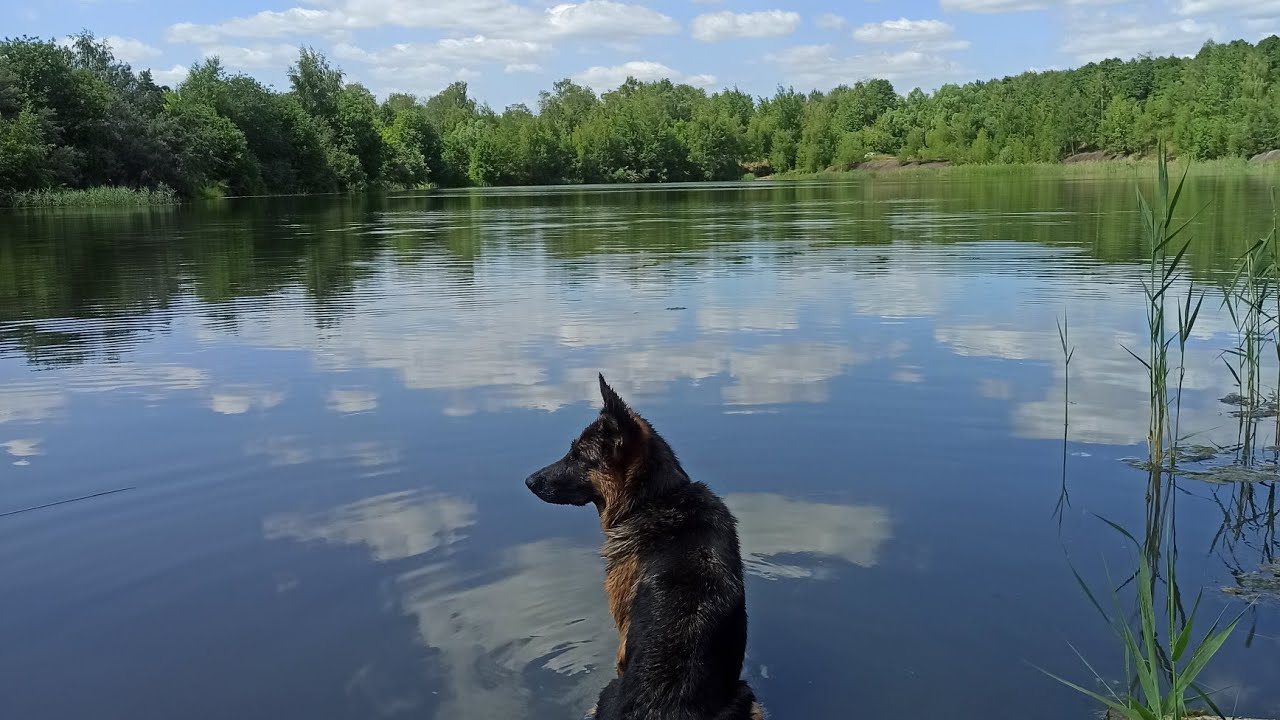 Как правильно садиться в лодку. Инструкция от профи😃🌊