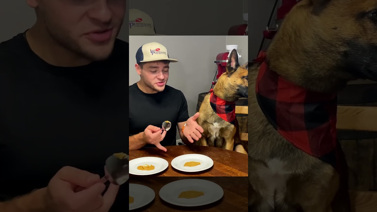 Dog Rolls His Eyes at Hooman...