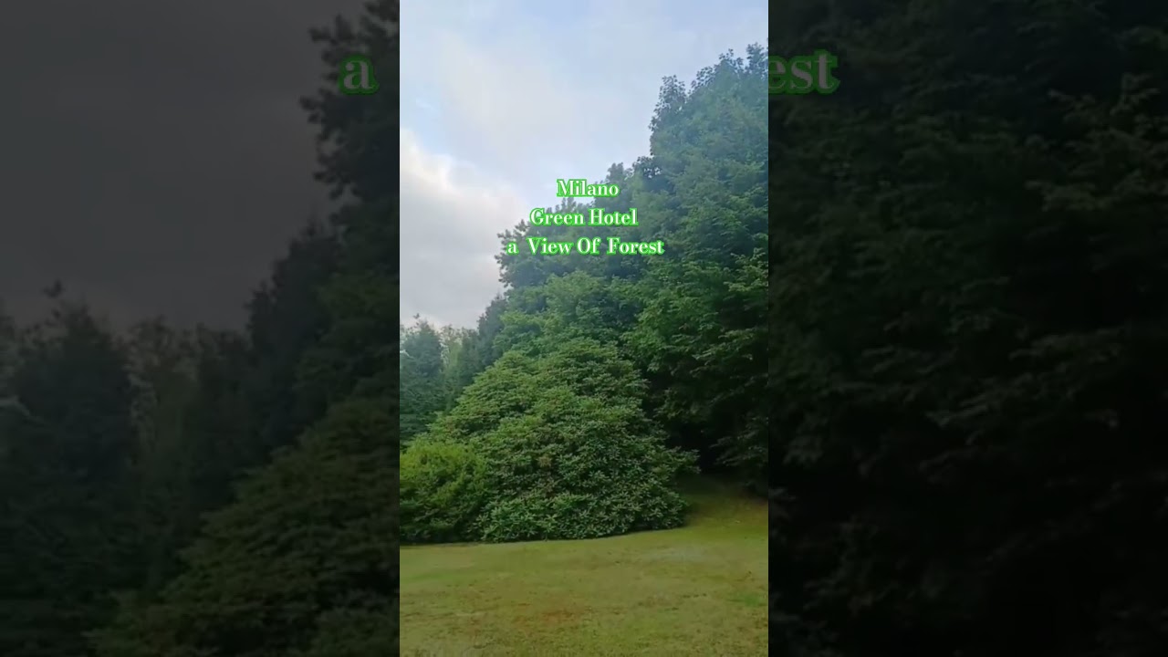 #Milano #Italy #Nature #Green Hotel #a view of forest #잔잔한 바람의 숨결 #beautifuldestination #Sky #Travel