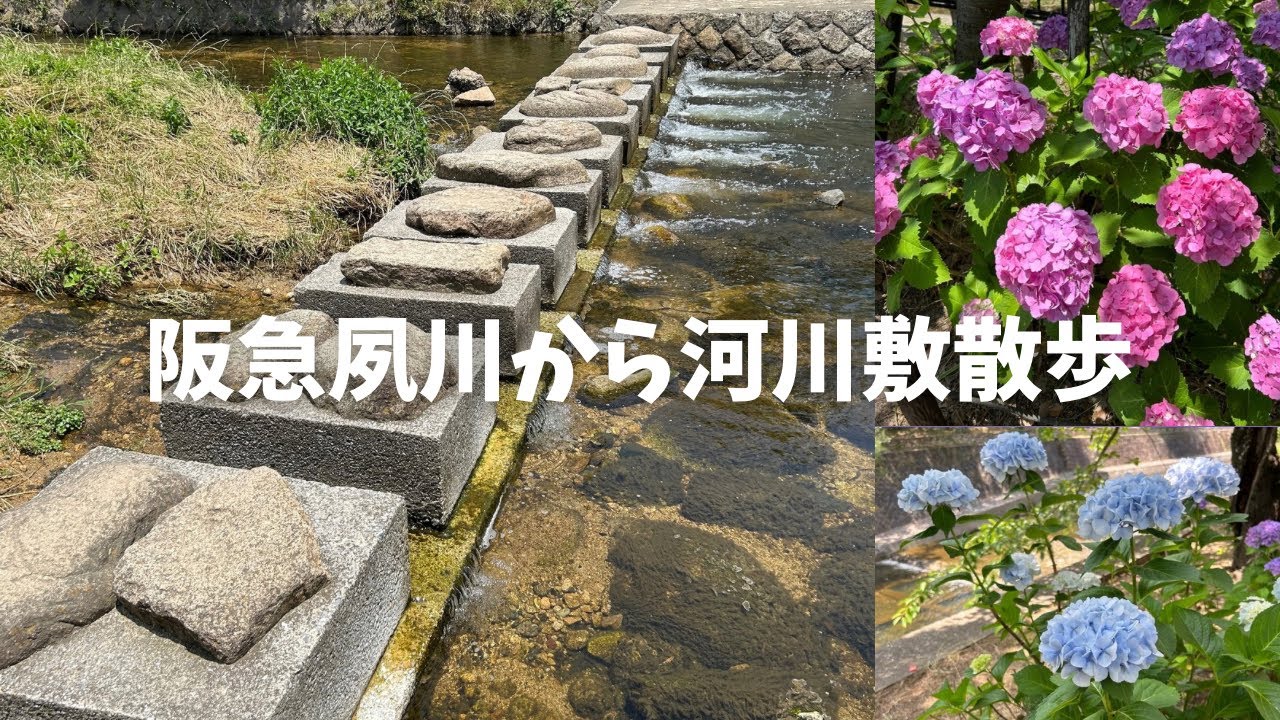 【兵庫県】阪急夙川から国道2号線へ/夙川河川敷をお散歩するよ《夙川河川敷シリーズ第2弾》