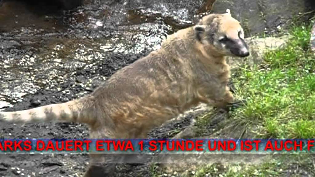 Wildpark Ferleiten