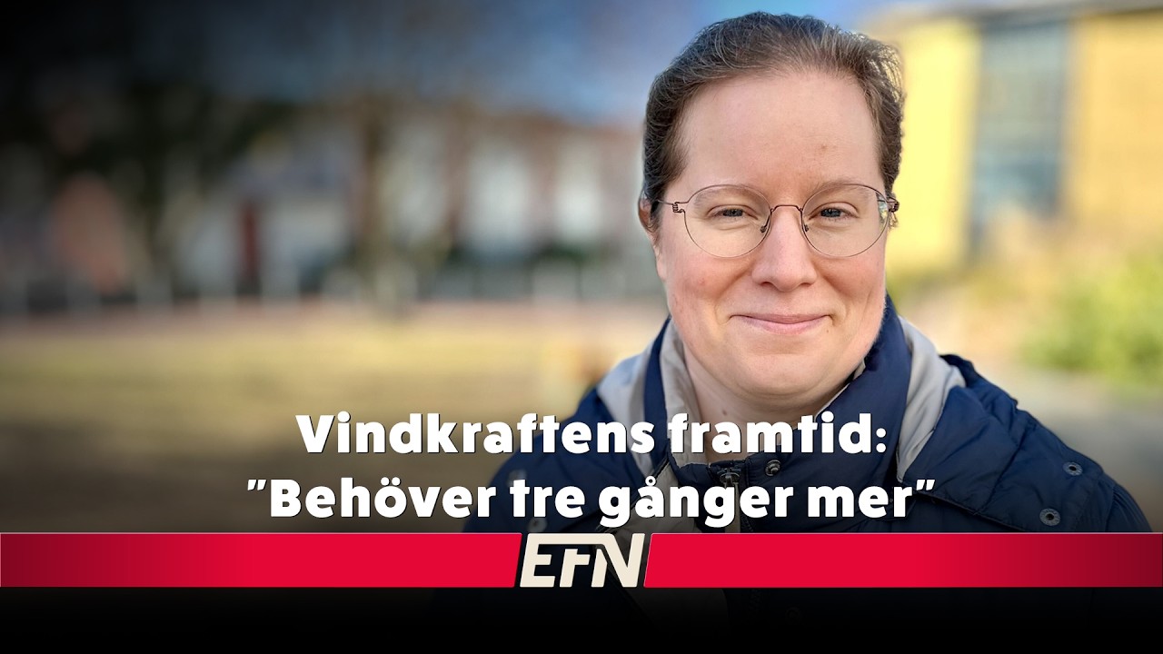 Vindkraftens framtid i Sverige: “Vi kan behöva tre gånger så mycket”