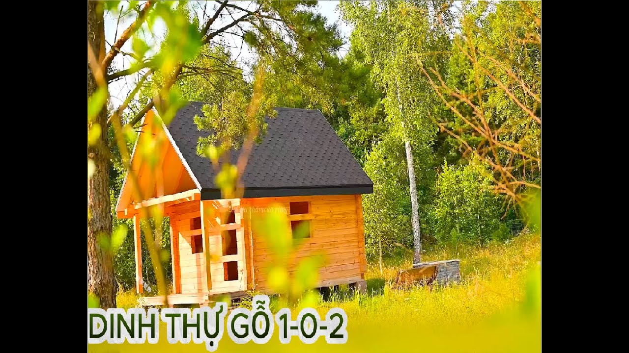 Cuộc sống tự tại trong ngôi nhà gỗ mơ ước Bình yên là đây chứ đâu #bophoverung #sinhtồntrongrừng