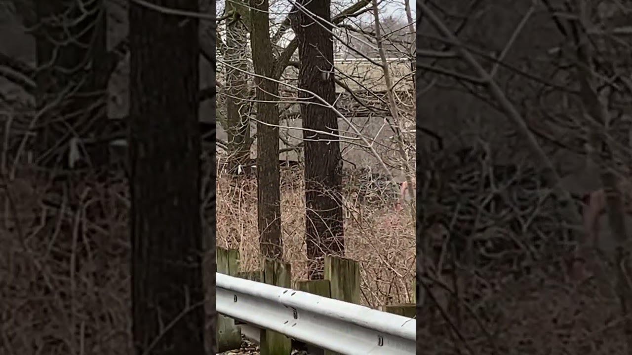When you miss the freight train #trains #railfaning #railfanning #railroad #train