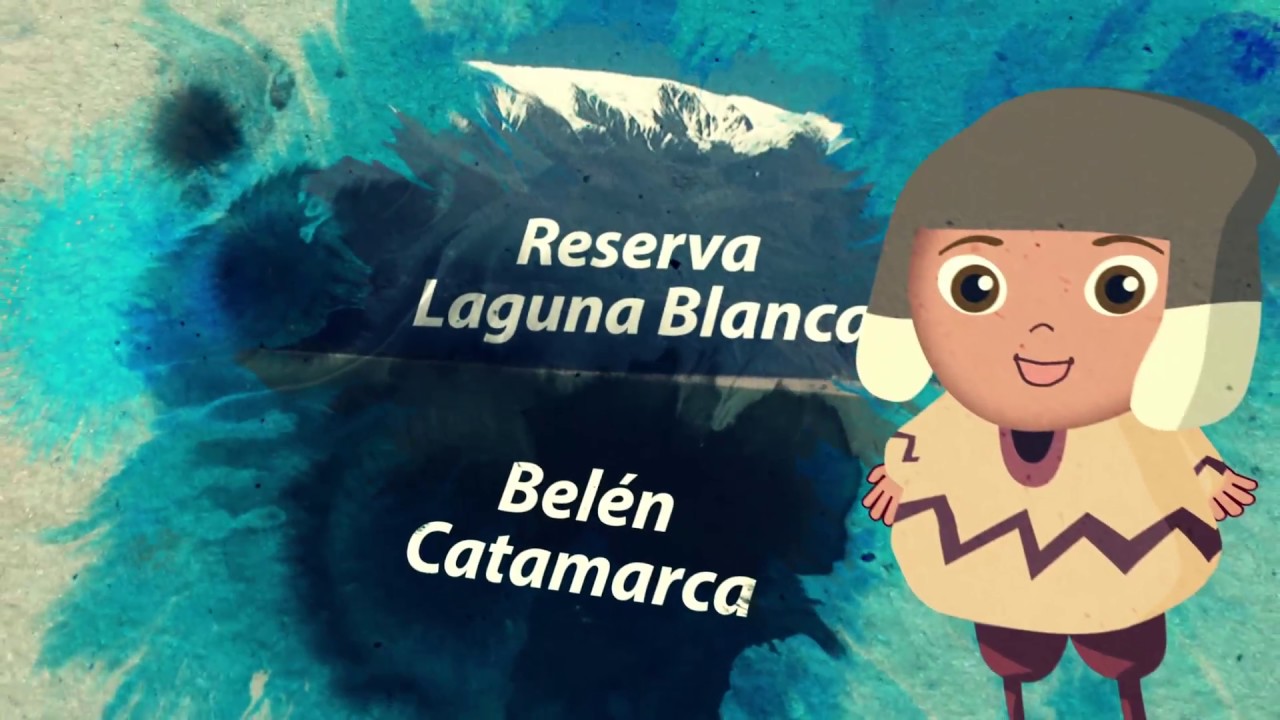 PONCHO Y VICU - BELEN
