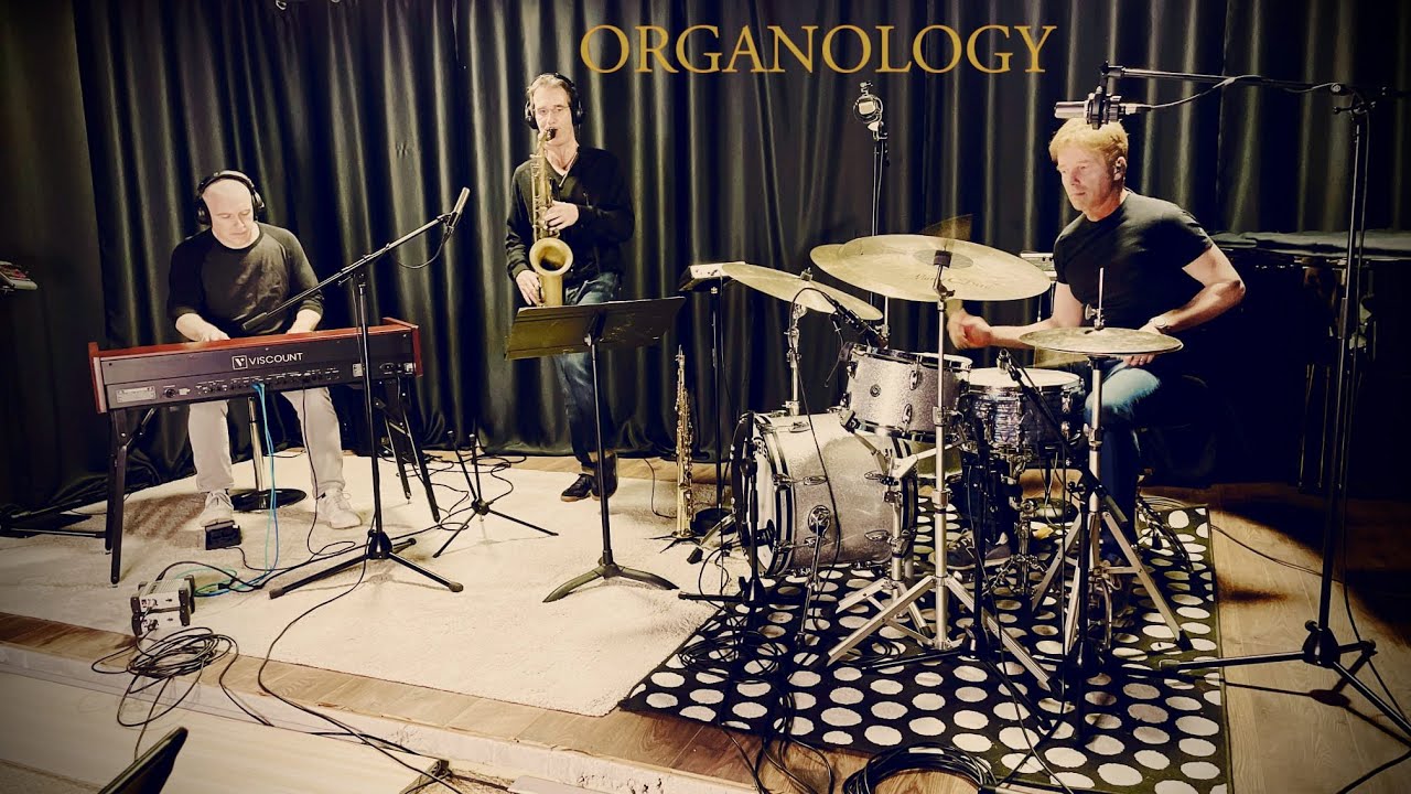 Small Rats - Organology Davot/Jung/Prud'homme