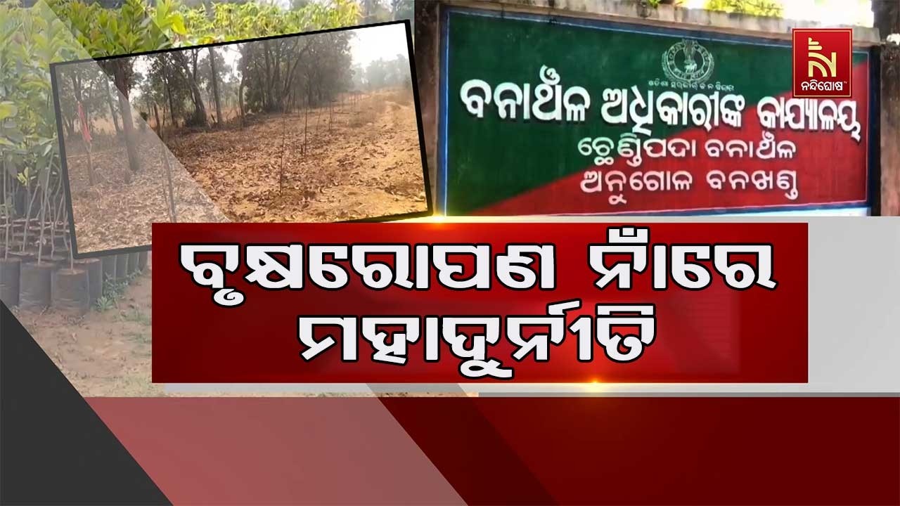 ମିଥ୍ୟା ବିଲ୍ କରି ଅର୍ଥ ଆତ୍ମସାତ। ଅନୁଗୋଳ ଜିଲ୍ଲା ଛେଣ୍ଡିପଦା ବ୍ଲକରେ ବୃକ୍ଷରୋପଣର ସାଂଘାତିକ ସତ