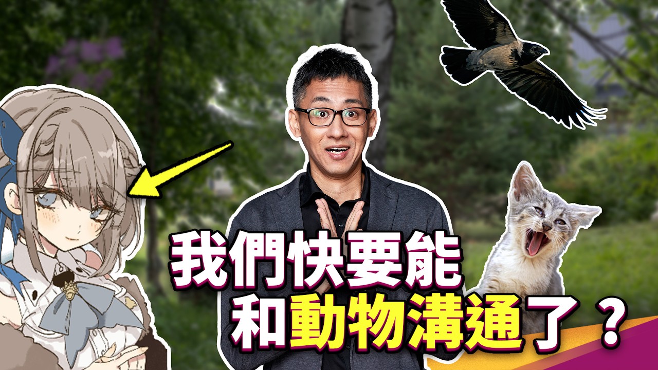 動物溝通不是不可能？從烏鴉、鯨魚到蝙蝠，哪些跨物種翻譯計畫已經啟動？ ft. 文化內容策進院 / CCC追漫台 / CCC創作集