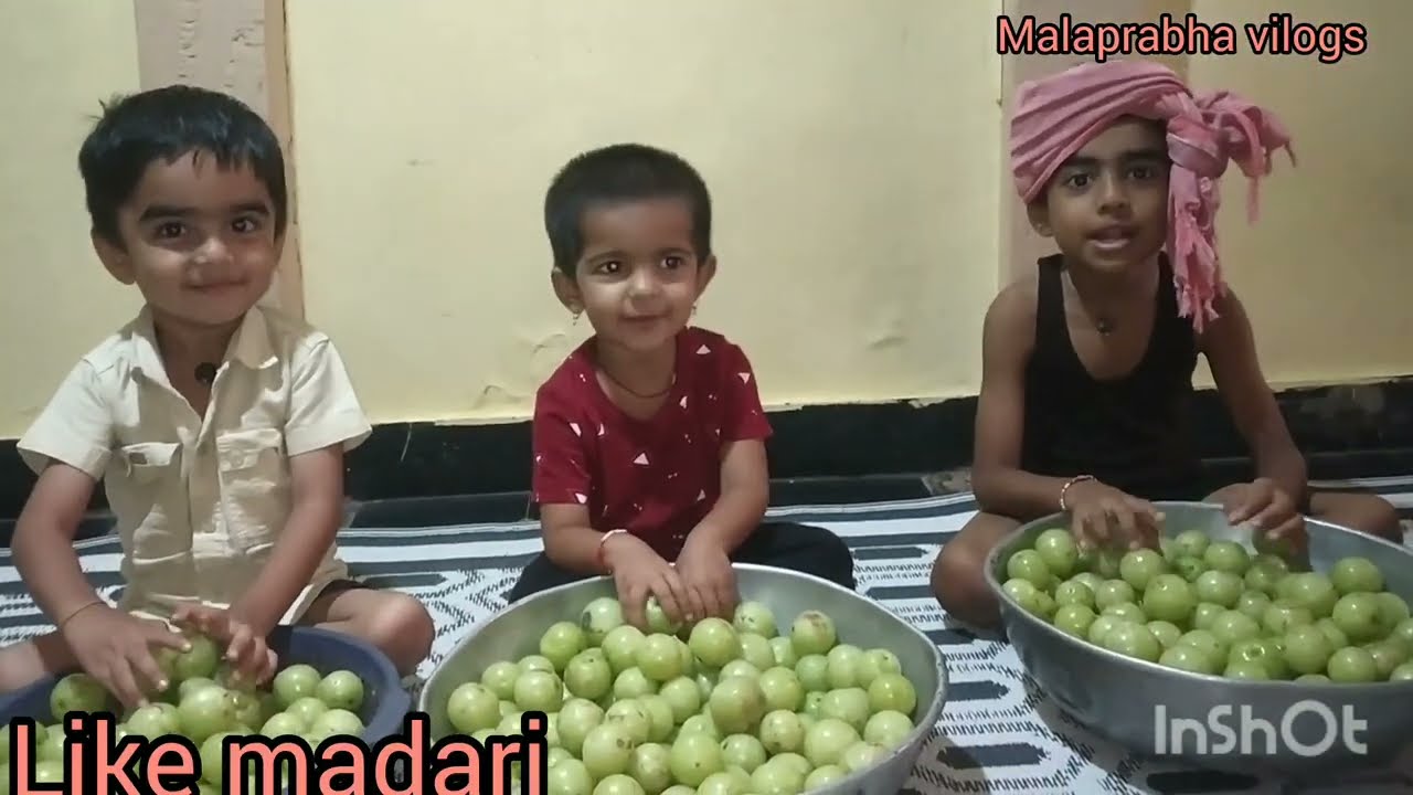 ಮುದ್ದು ಮುದ್ದಾಗಿ ಬೆಟ್ಟದ ನೆಲ್ಲಿಕಾಯಿ ಮಹತ್ವ ಹೇಳಿದ ಮಕ್ಕಳಿಗೆ ಲೈಕ್ ಮಾಡಿ.. ಆಮ್ಲಾ ಉಪಯೋಗ amla benifits