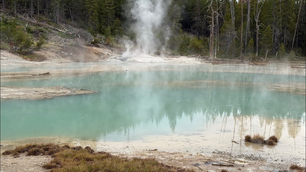 Mammoth Hot Springs Terraces, Norris Geyser Basin & Roosevelt Arch In Yellowstone National Park!