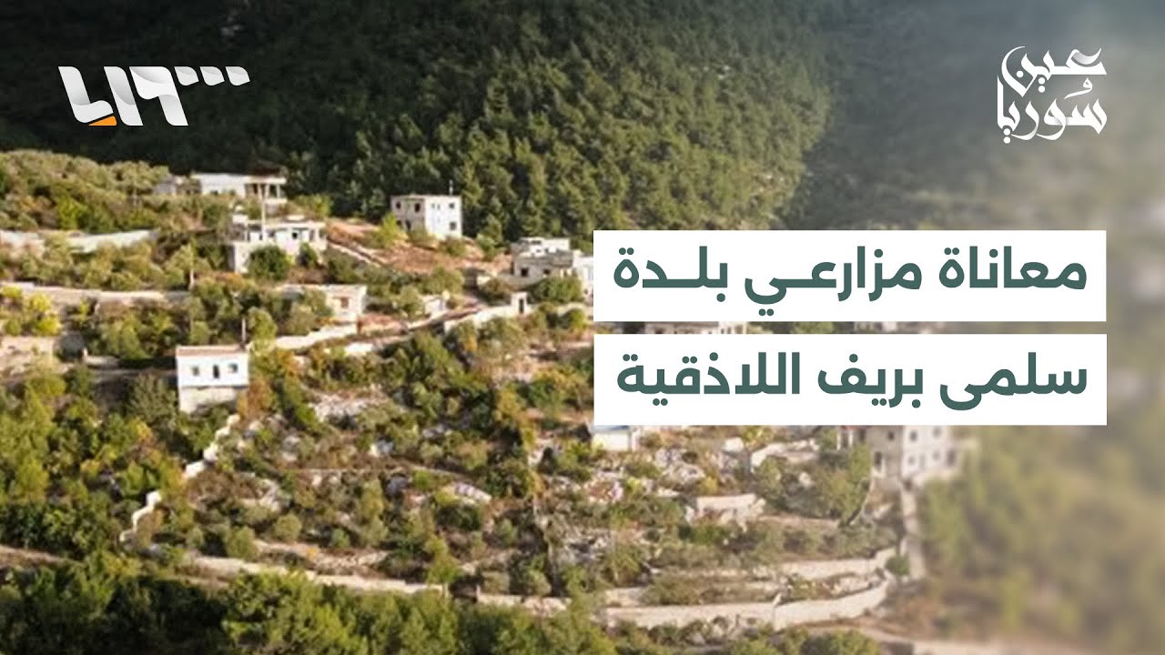 الألغام ومخلفات الحرب تحديات تواجه مزارعي بلدة سلمى بريف اللاذقية