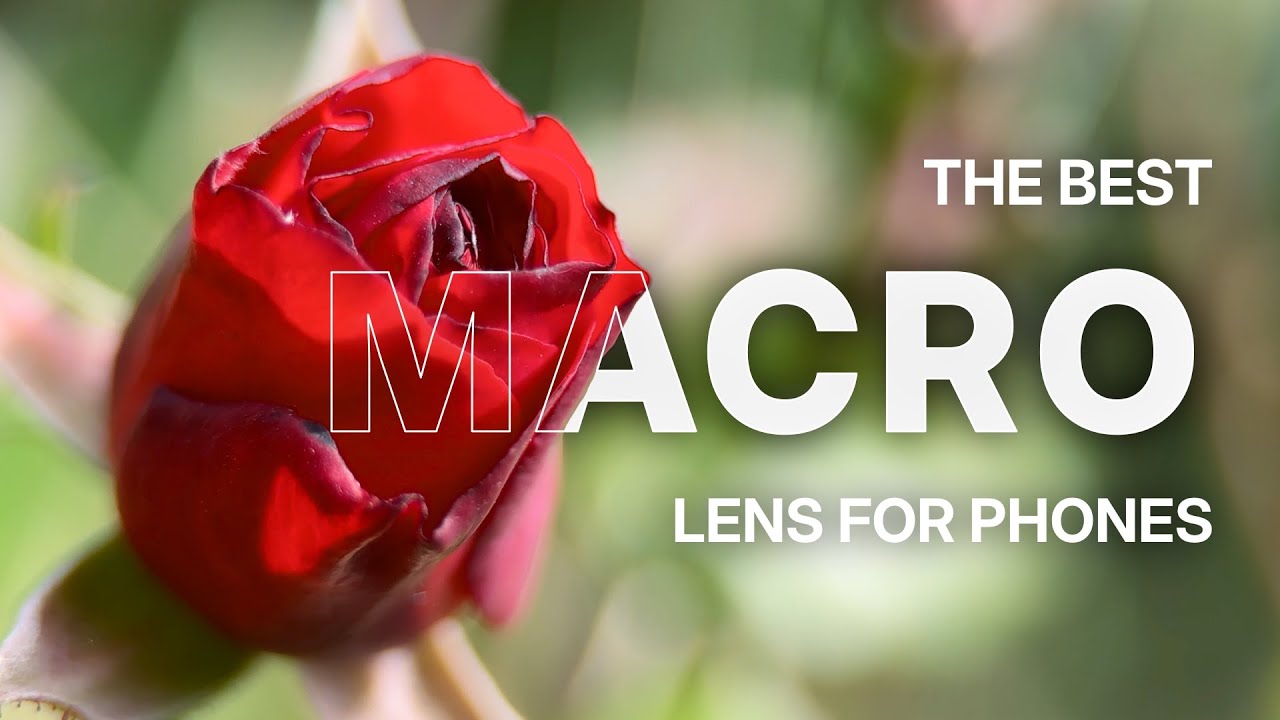 The Best Macro Lens for iPhones - SANDMARC 100mm