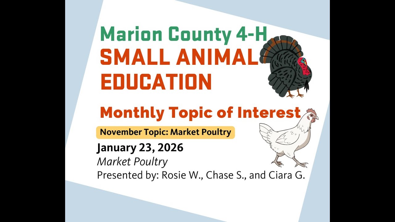 Market Poultry