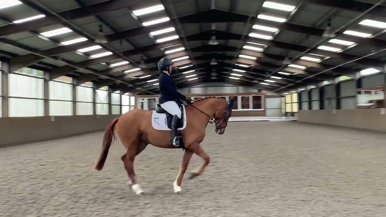 Sillan Clementine BD Novice Test 5 2024 Belmoredean 31.10.24