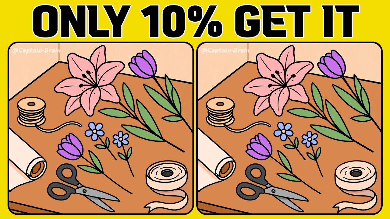 Only 10% Find Them All: Spot the Difference Challenge (A Bit Tricky)