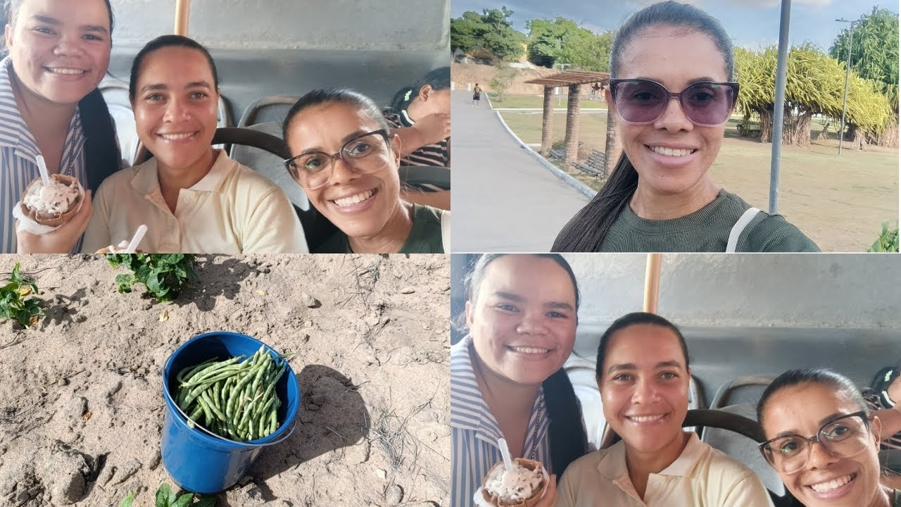 Onde estou, dia de colheita e mostrando um pouco da cidade de Arapiraca Al!