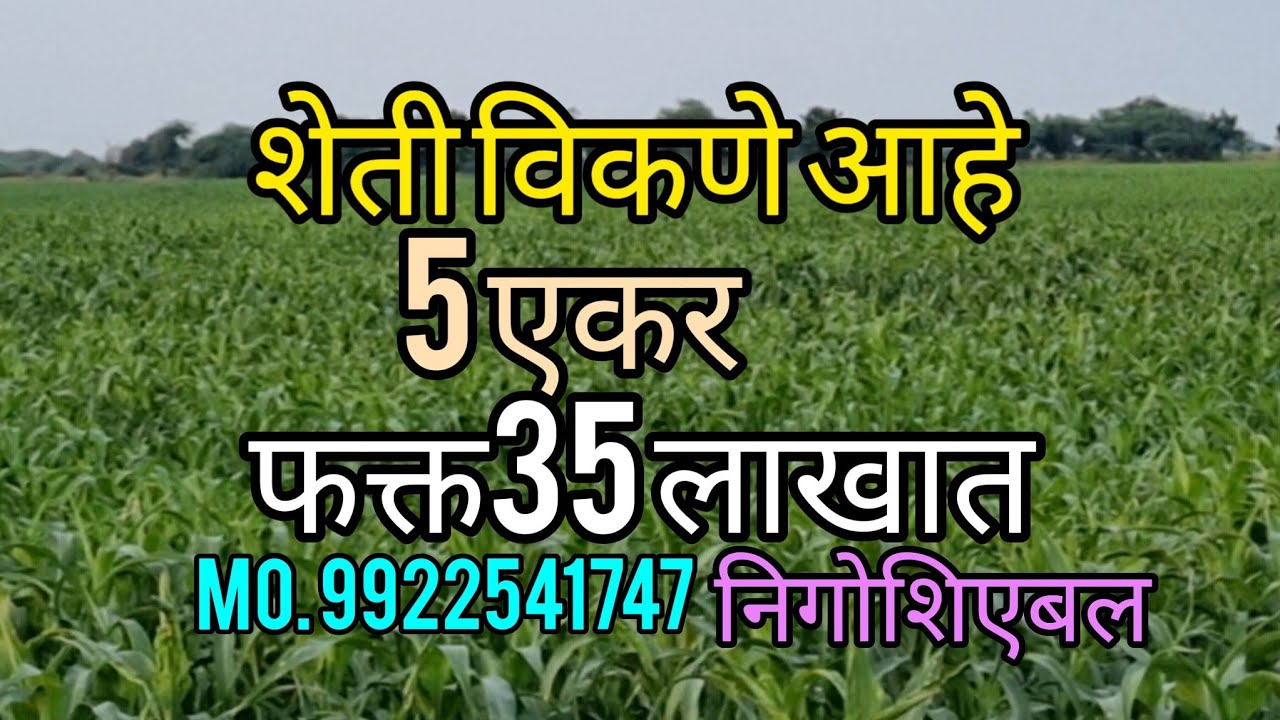 शेती विकणे आहे पाच एकर फक्त 35 लाखात  (sell out )