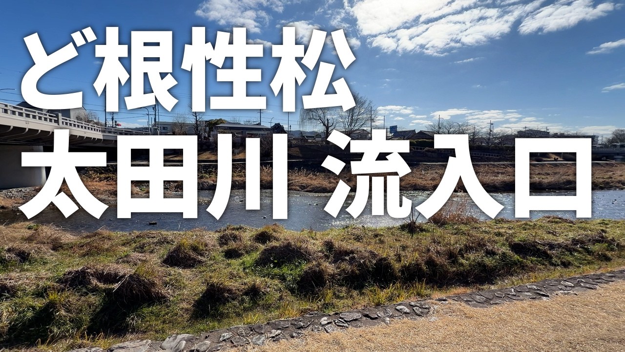 鴨川デルタ【ど根性松と太田川の流入口】暗渠（地下）を通って、高野川（河合橋下流）へと流れ出る（2026年2月17日）