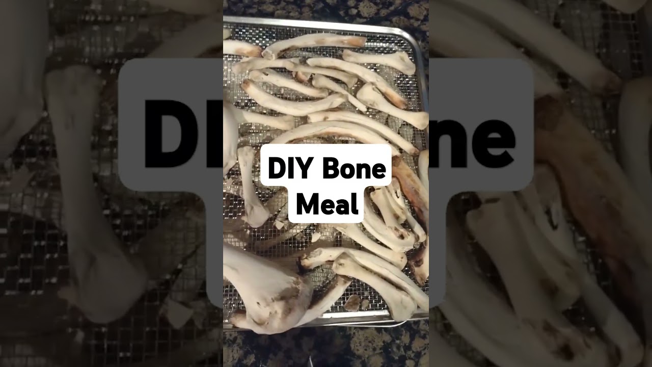 DIY Bone Meal #fertilizer #garden #bonemeal #phosphorus