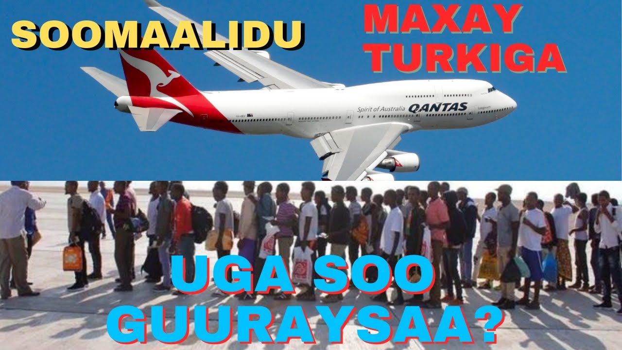 Maxay Soomaalidu Turki uga Soo Carartay?