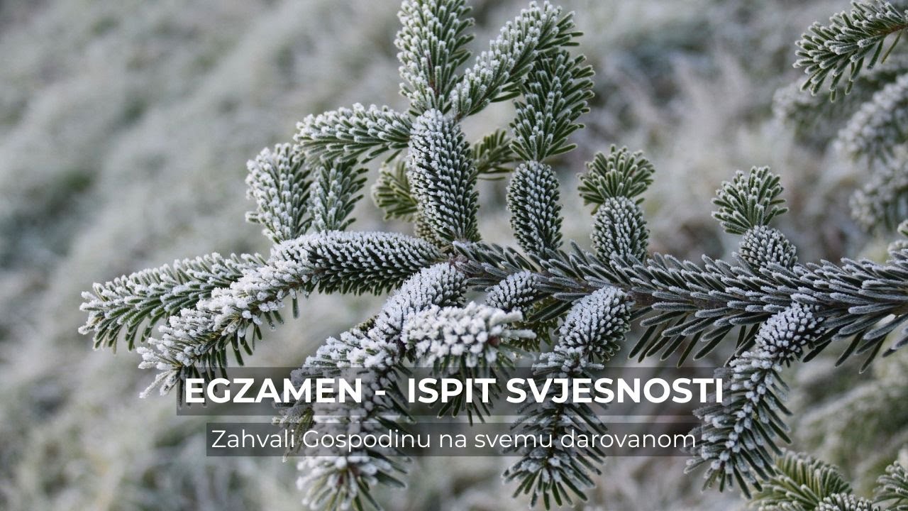 Egzamen - ispit svjesnosti (1)