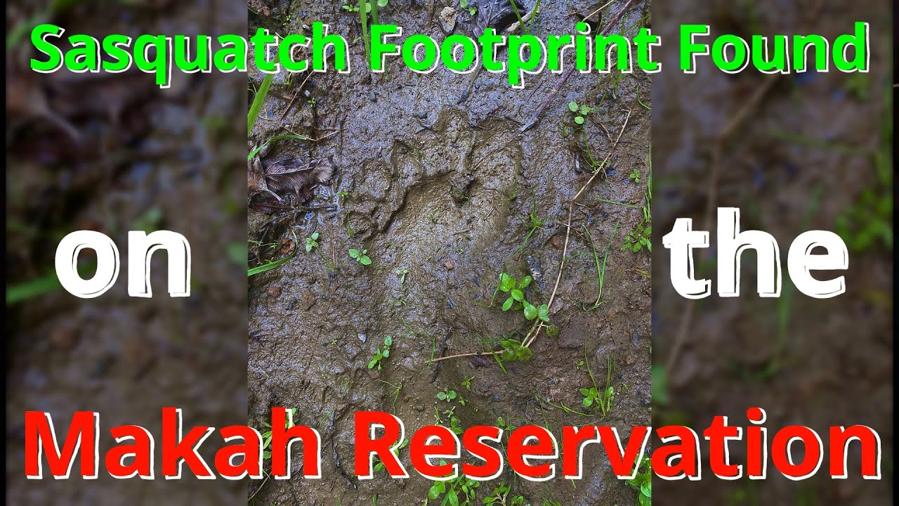 Sasquatch footprint found on the Makah Reservation