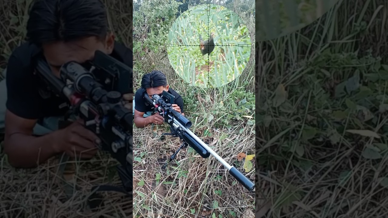 BERBURU AYAM HUTAN 2024 #shortvideo