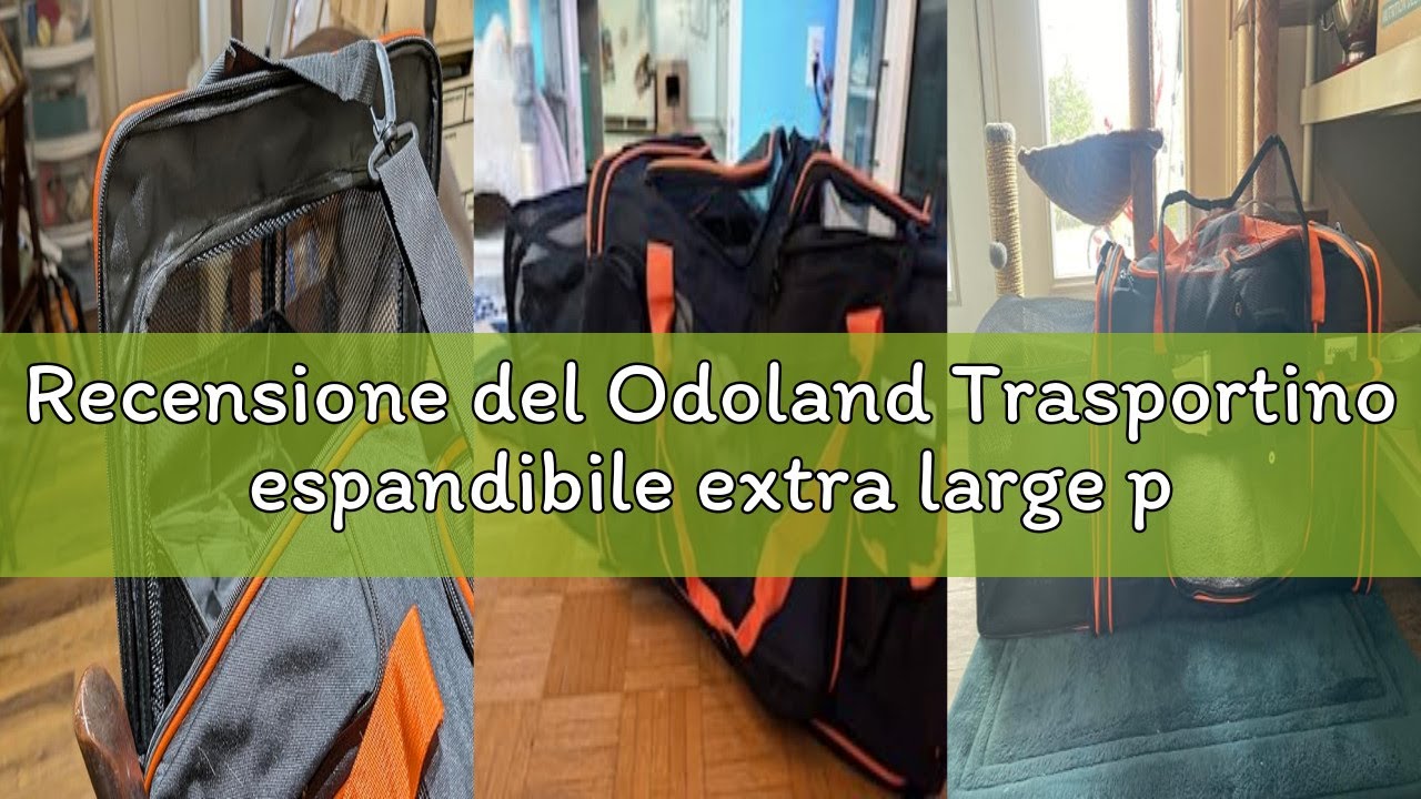 Recensione del Odoland Trasportino espandibile extra large per 2 gatti con lettiera per gattini, gat