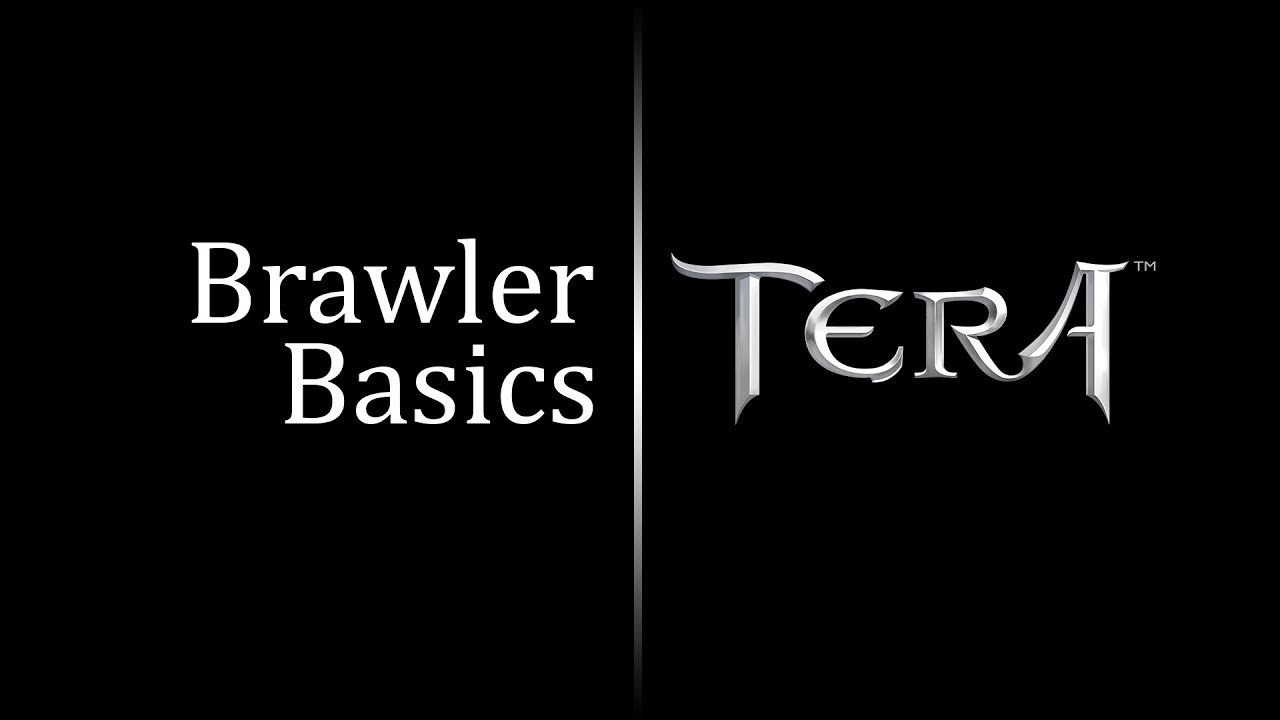 Brawler Basics - TERA