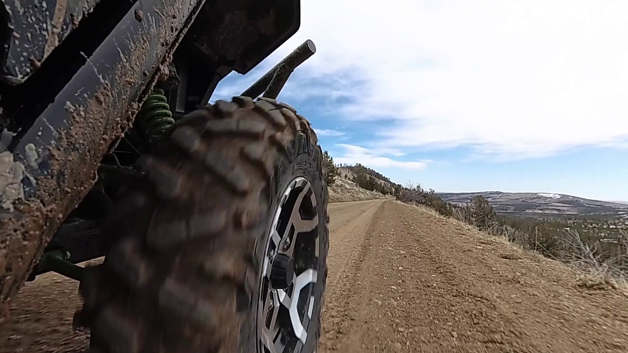 2017 Kawasaki Teryx4 LE