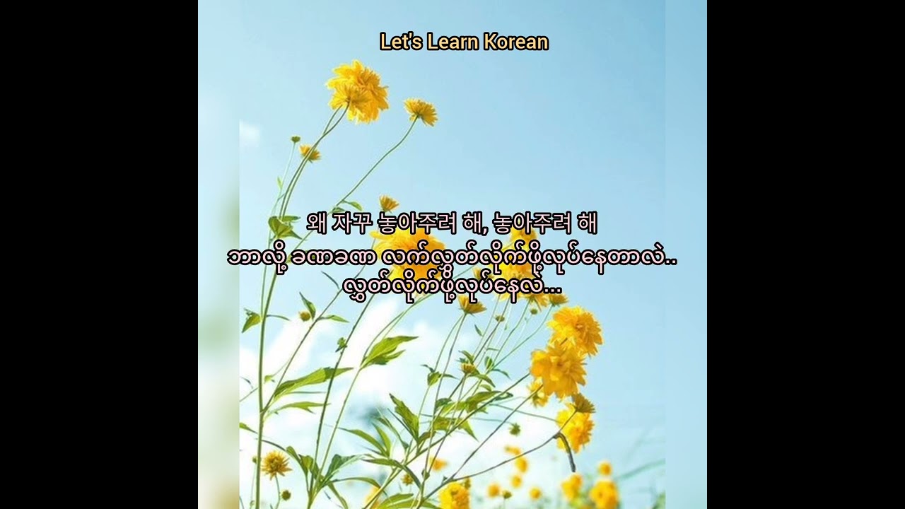 Dandelion (민들레) ~ oohyo mm sub #myanmar #korea #koreasongs #korean #koreanlanguage