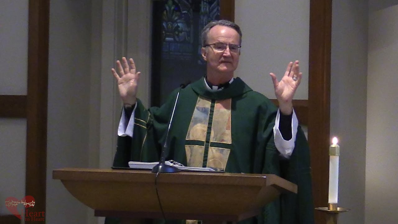 Video Homily - Lessons from the School of Suffering (Luke 21:12-19)