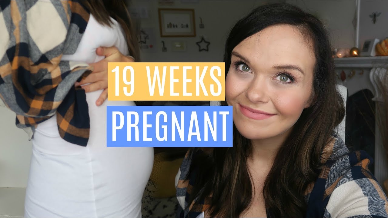 19 WEEKS PREGNANT - TOUGH WEEK, SCAN WORRIES & STICKLER SYNDROME