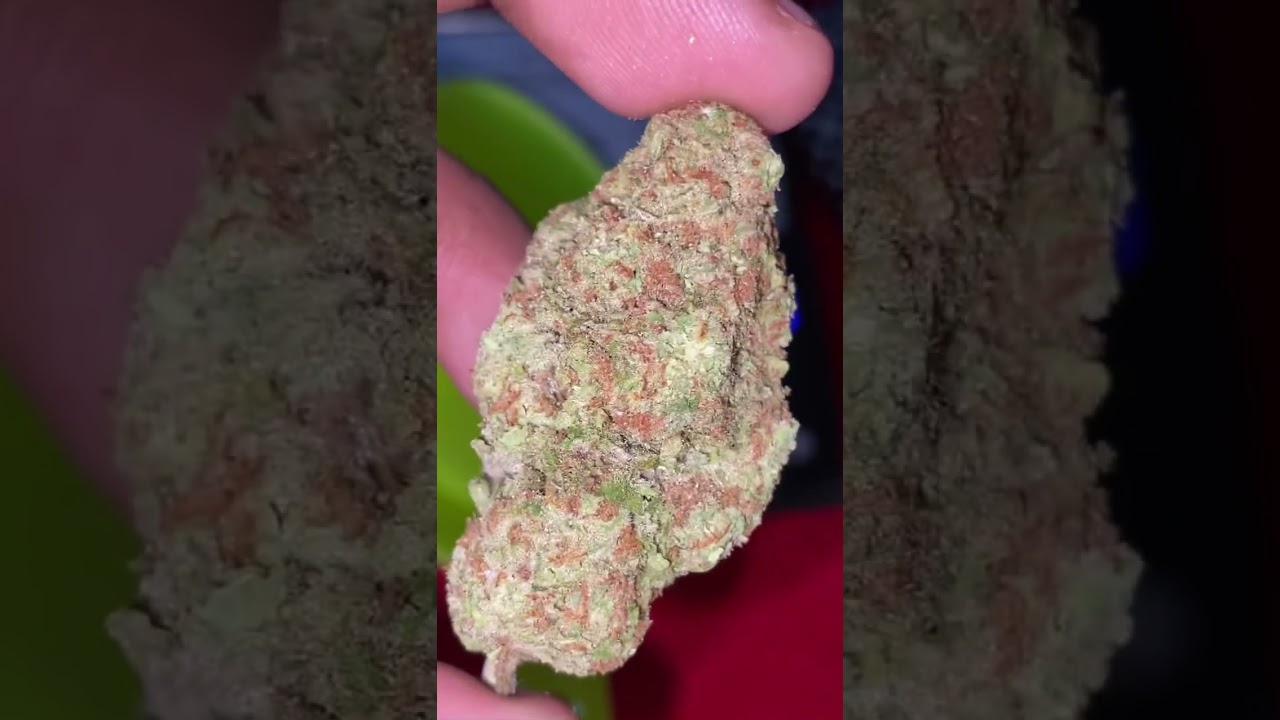 Papaya Punch 2.5g Nug 🔥💨