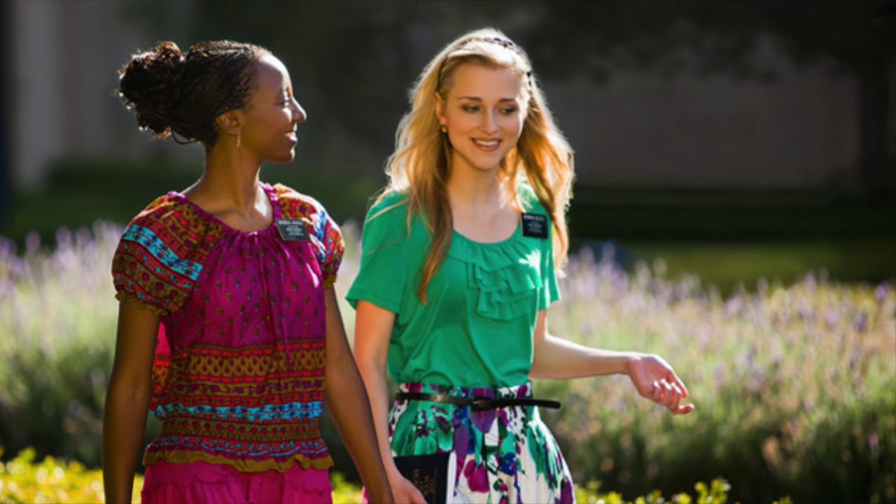 The 