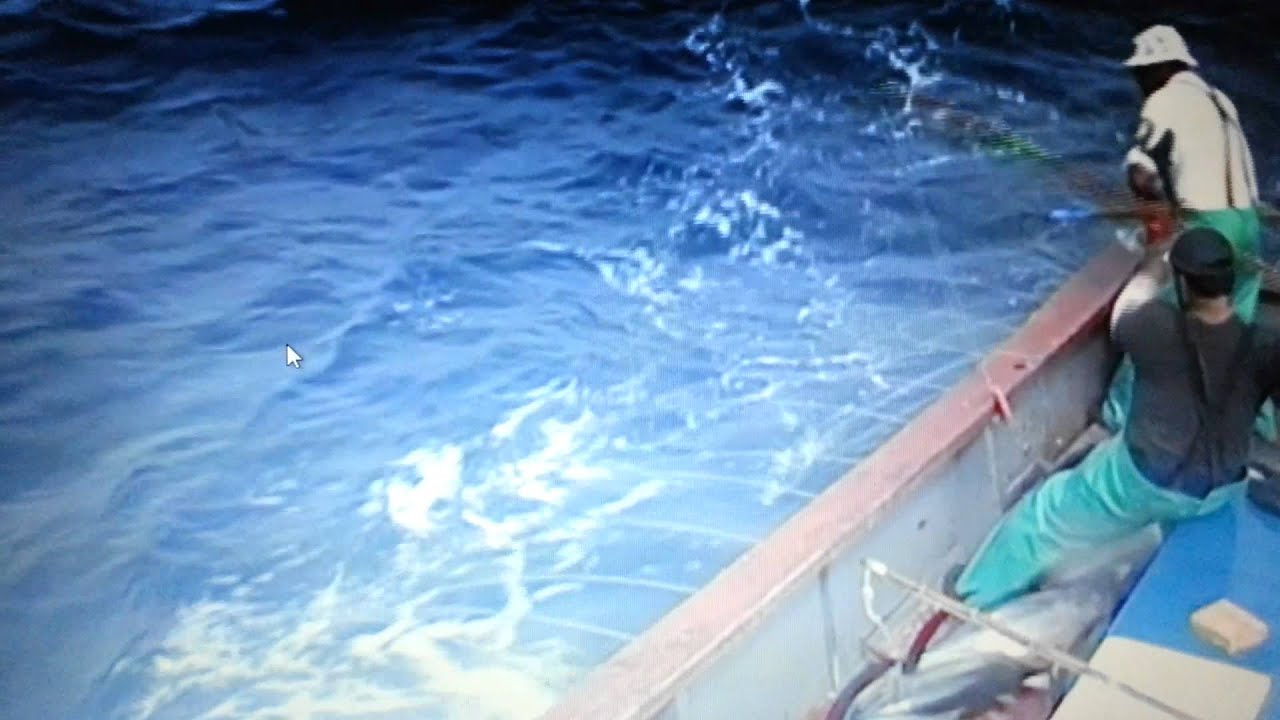 Tuna fishing