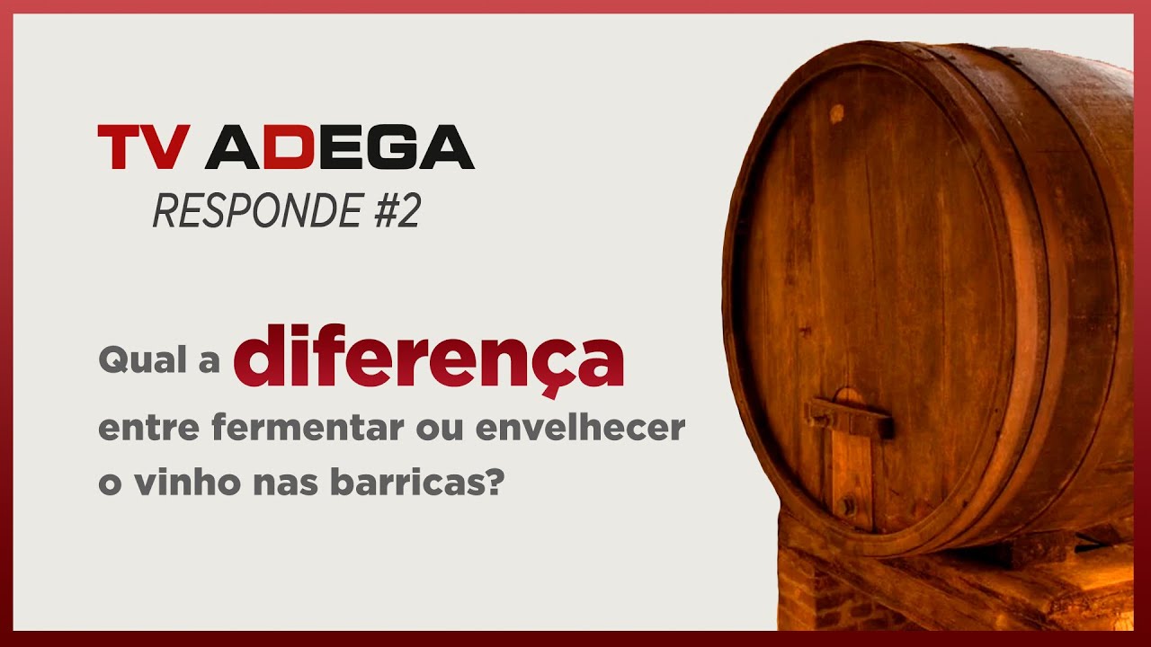 TV ADEGA RESPONDE  #2  - Qual a DIFERENÇA entre FERMENTAR ou ENVELHECER o VINHO nas barricas ?