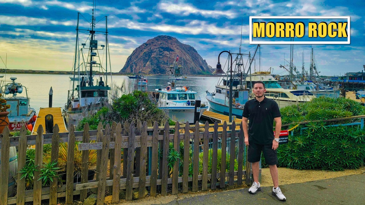 Я вижу это животное, плавающее в очень опасном месте.