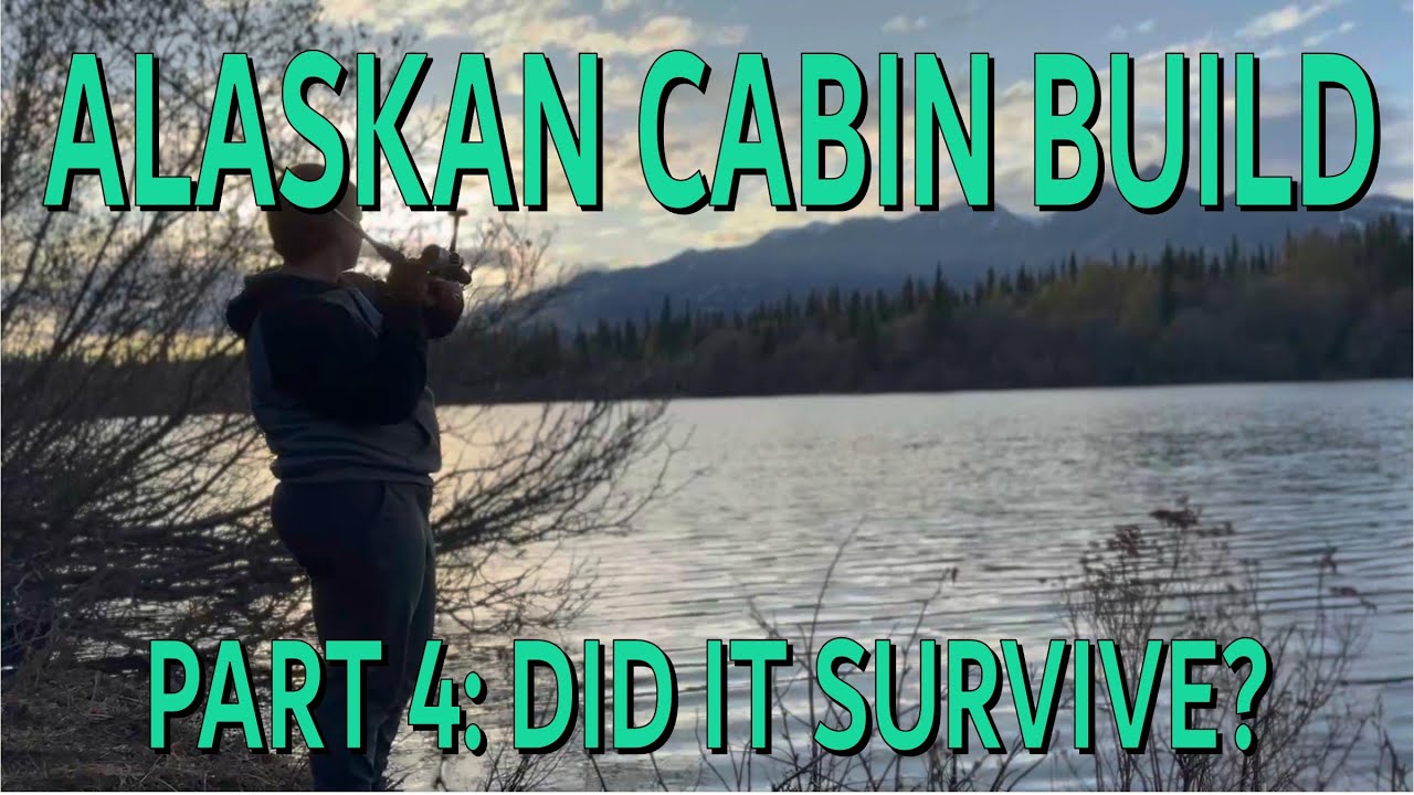 Alaska Off-Grid Cabin Build: First Summer Visit. Did It Survive? #cabinbuild #alaskalife #offgrid
