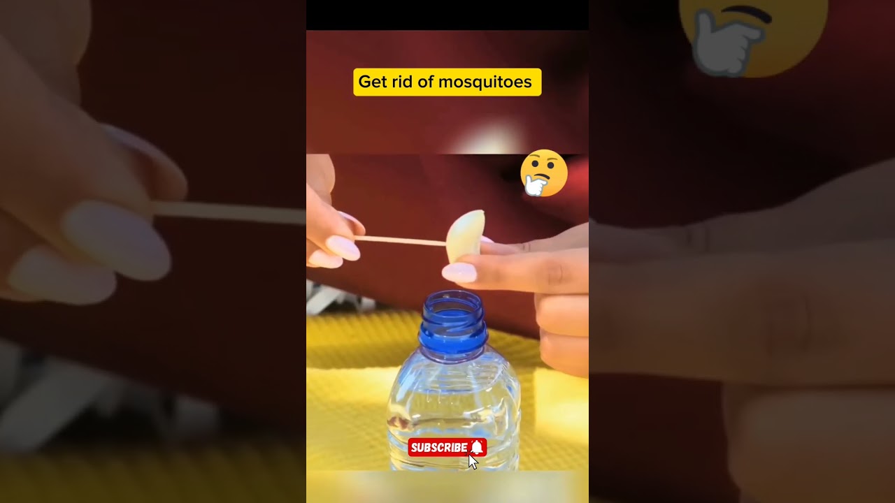 use garlic for mosquitoes repellent 💯 #homehack #mosquitoes #garlic #short feed